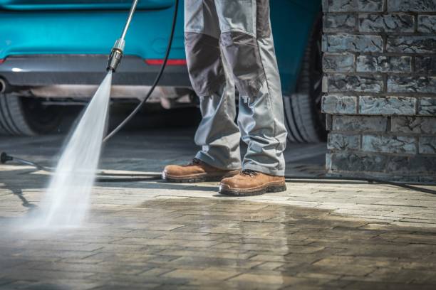 Best Rust Removal  in Venice Gardens, FL
