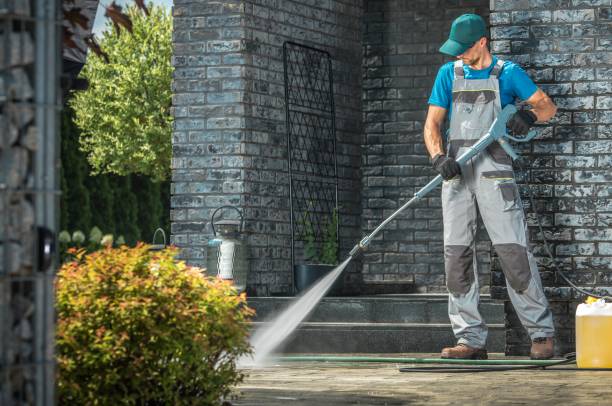 Best Soft Washing  in Venice Gardens, FL